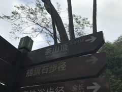 -东莞市大岭山森林公园