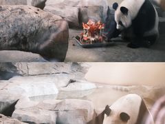 -宁波野生动物园