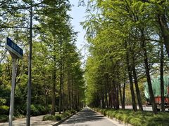 -上海长兴岛郊野公园