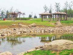 -白塘生态植物园