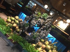 -东椰·海南椰子鸡火锅(朝阳门店)