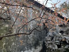 -拙政园