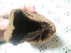 巧克力麻薯-丁香西饼屋(桂林路店)