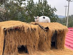 -韵之源农家菜(北京1店)