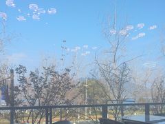 -宝荣鱼馆·临湖之宴(千岛湖店)