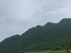 -黑竹沟新场牛肉火锅