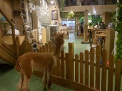 -藦茜花园宠物主题亲子互动体验馆(国顺东路店)
