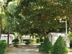 -三亚海棠湾万丽度假酒店