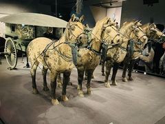 -秦始皇帝陵博物院-丽山园