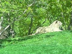 -北京野生动物园