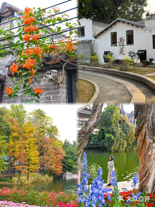 荔湾湖公园图片