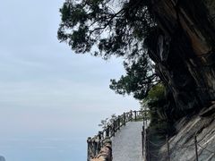 -少华山国家森林公园