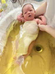 -宝生月子中心·私家园林式(龙华观澜店)