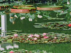 -国家植物园南园