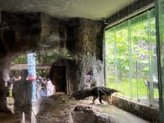 -深圳野生动物园