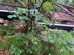 -大芦花风景区