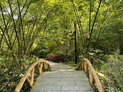 -大屏嶂森林公园