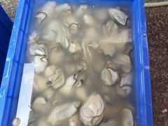 -濠轩阁特色生蚝火锅总店