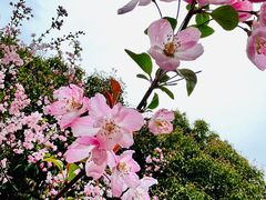 -和平公园