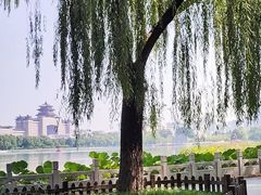 -莲花池公园