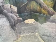 -福州罗源湾海洋世界旅游区