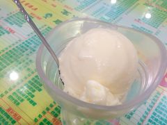 榴莲雪糕-顺记冰室(宝华路店)