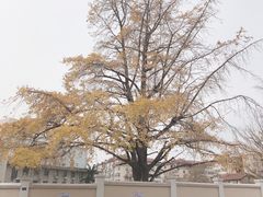 -华春餐馆(鱼山路店)