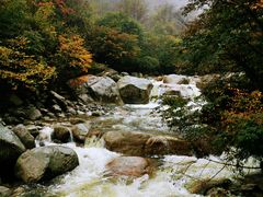 -青峰峡国家森林公园