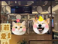 -若爱猪肚鸡·啫啫煲(循礼门M+店)