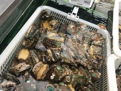 -盒马鲜生(大成店)
