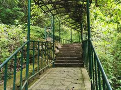 -溪口-滕头旅游景区