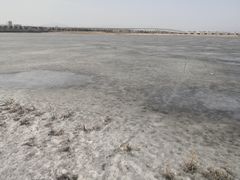 -绿堤公园