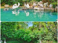 -珠海长隆海洋王国