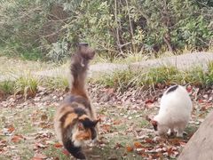 -华东政法大学(松江校区)