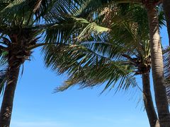 -三亚西岛海洋文化旅游区