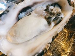 生蚝-盈田盈粥庄(博山东路店)