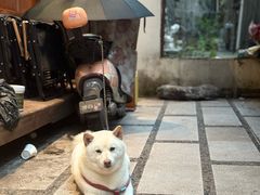 -Max Bakery 阿唛手作