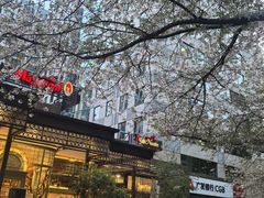 -玛格萝妮比萨屋(四平店)