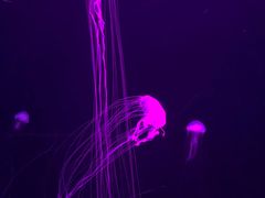 -波塞冬海底世界