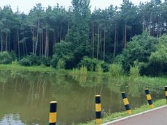 -长春净月潭风景名胜区