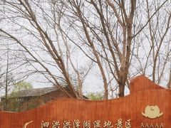 -泗洪洪泽湖湿地景区