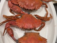 -神洲四海大酒楼(王府井澳门中心店)