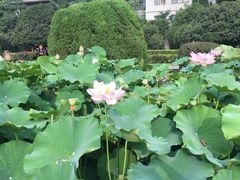 -四川大学(华西校区)