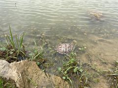 -云漫湖生态度假公园