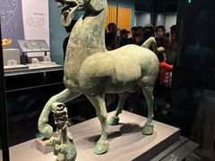 -广西壮族自治区博物馆