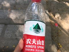 -仙岳公园