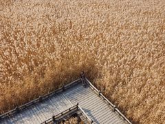 -野鸭湖国家湿地公园