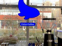 -Cetus coffee鲸鱼座咖啡·拼豆(二仙桥公园店)