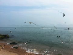 -海驴岛(荣成市)