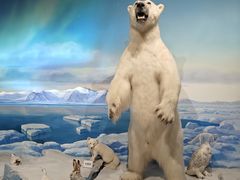 -陕西自然博物馆